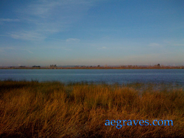 Delta landscape, near Pittsburg, California