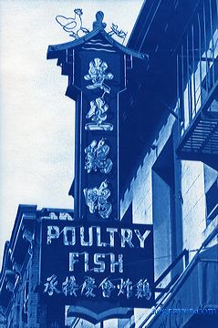 cyanotype print by A.E. Graves of Poultry Fish sign, Chinatown, San Francisco, California