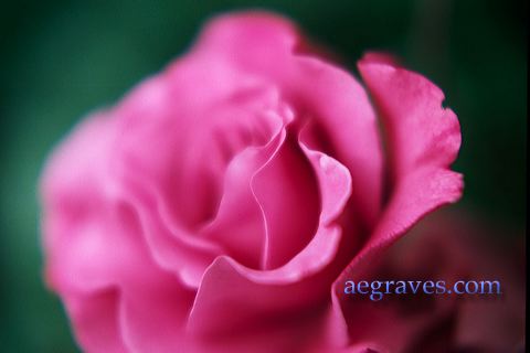 20020508_sbgarden_09.jpg