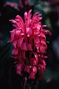 20020905_ucbbot1_10