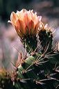 20020905_ucbbot1_12