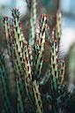 20020905_ucbbot2_02