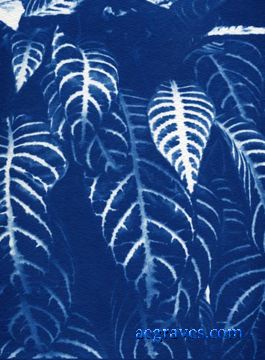 cyanotype, Foliage in Blue, alternative process print by A.E. Graves
