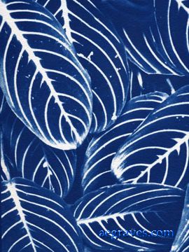 cyanotype, Foliage in Blue, alternative process print by A.E. Graves