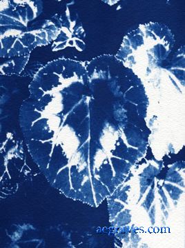 cyanotype, Foliage in Blue, alternative process print by A.E. Graves