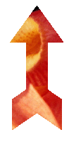 return to top page