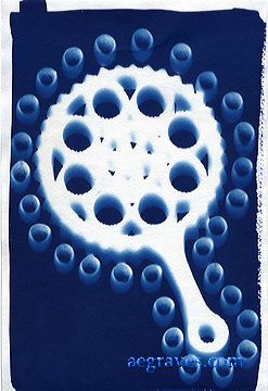 cyanotype photogram, alternative process print by A.E. Graves