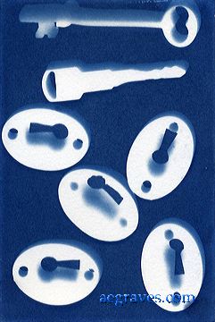 cyanotype photogram, alternative process print by A.E. Graves