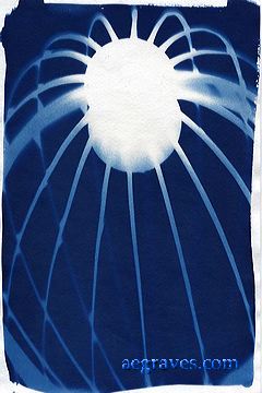 cyanotype photogram, alternative process print by A.E. Graves