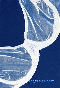 cyanotype photogram, alternative process print by A.E. Graves