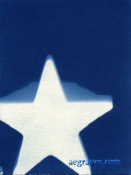 cyanotype photogram, alternative process print by A.E. Graves