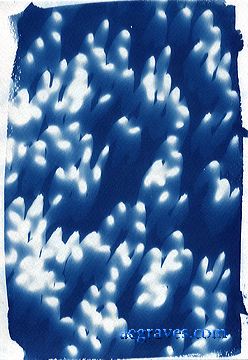 cyanotype photogram, alternative process print by A.E. Graves