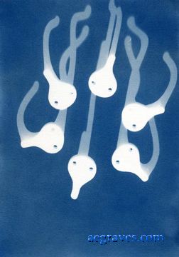 cyanotype photogram, alternative process print by A.E. Graves