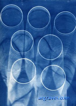 cyanotype photogram, alternative process print by A.E. Graves