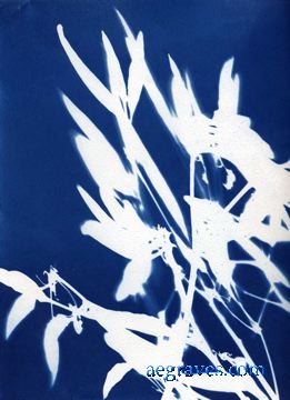 cyanotype photogram, alternative process print by A.E. Graves