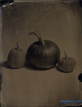 black glass ambrotype by A.E. Graves of pumpkin
