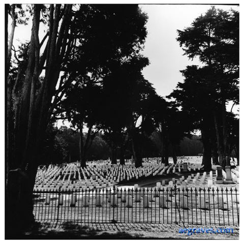 aeg_bw030web.jpg