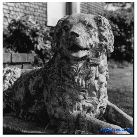 aeg_bw043web.jpg