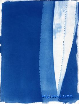cyanotype print of a succulent plant