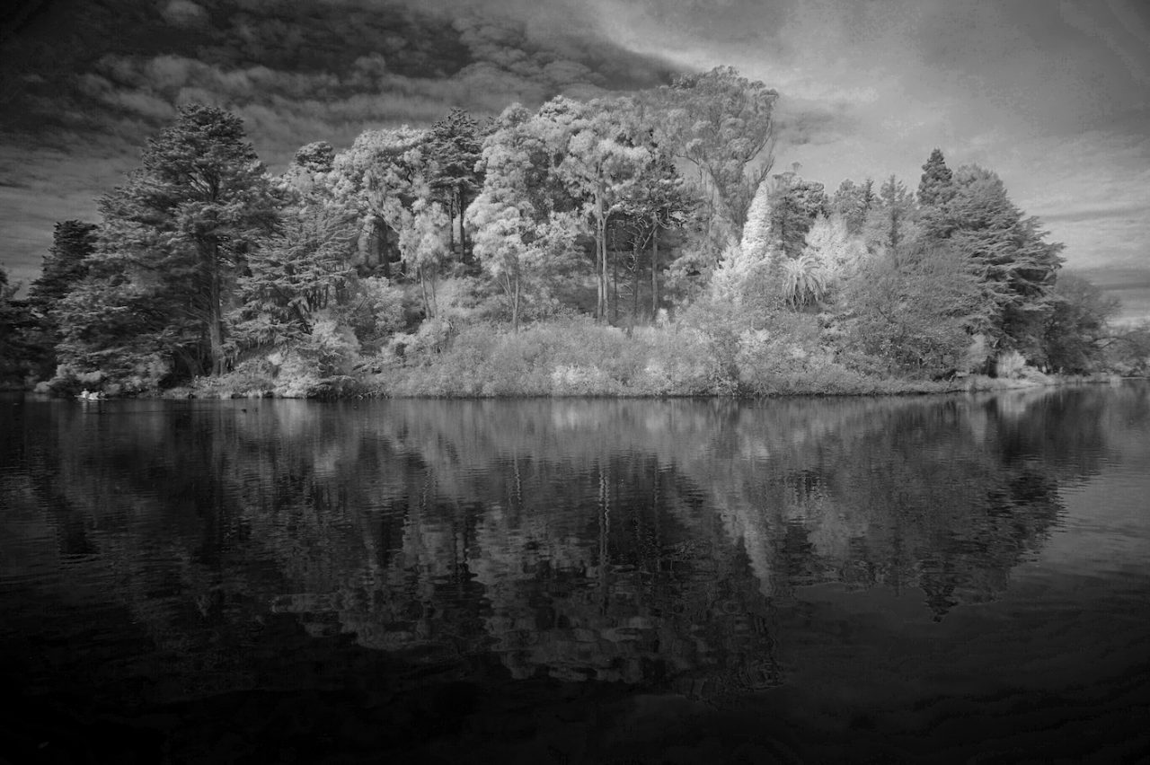 Infrared image of Strawberry Hill, Stow Lake