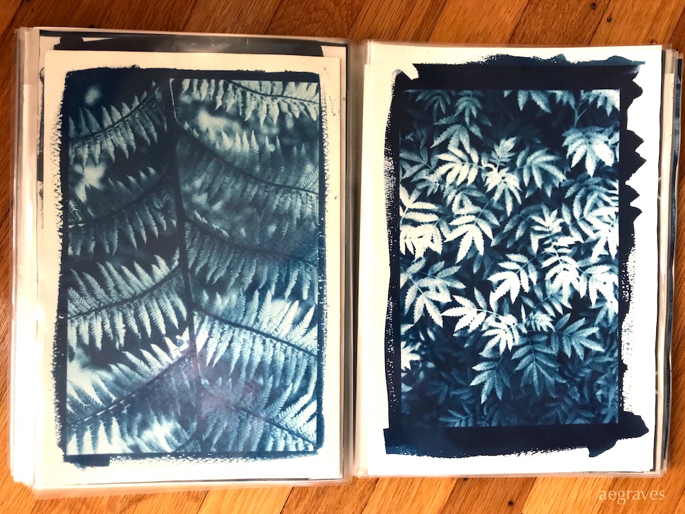 Image of a portfolio with two cyanotypes