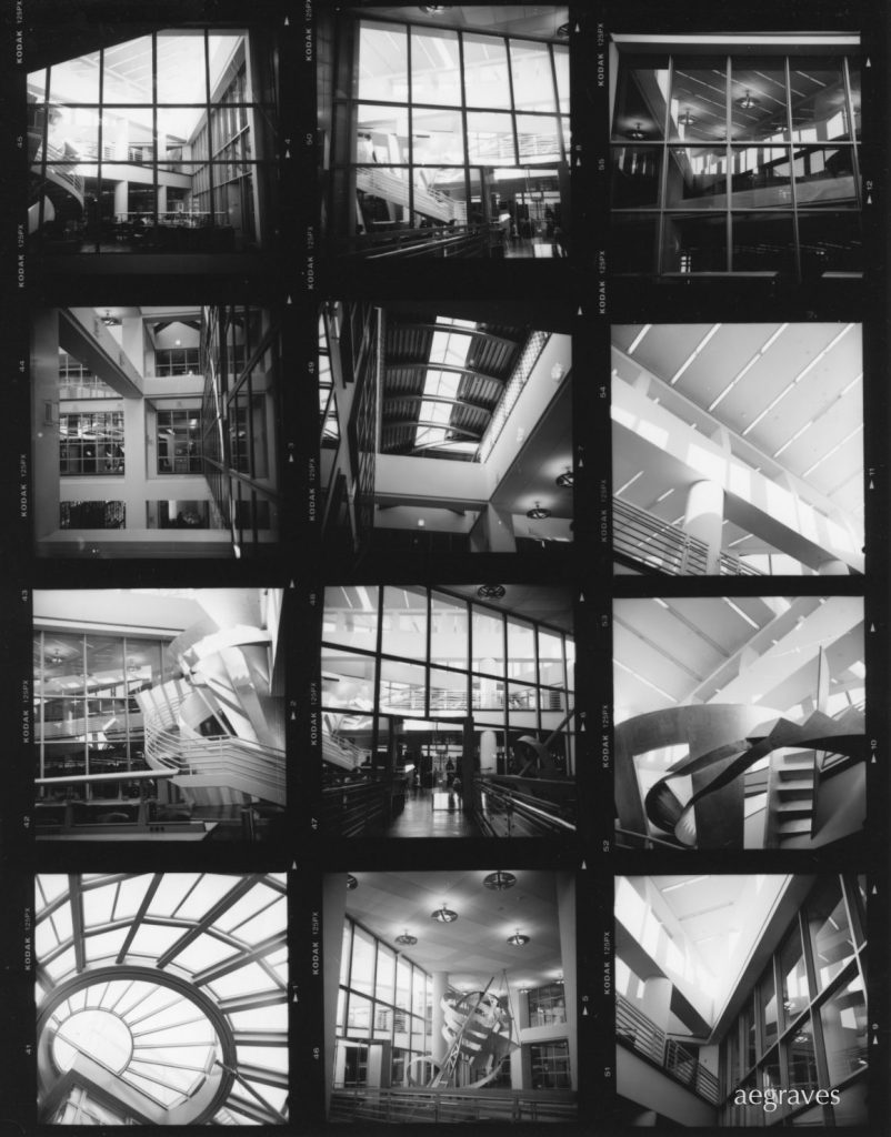 darkroom-photography-contact-sheets-are-great-words-about-images