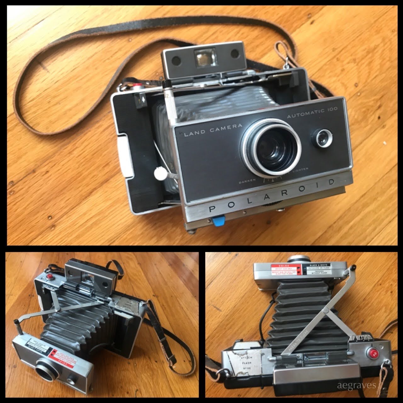 My beloved Polaroid Land Camerca