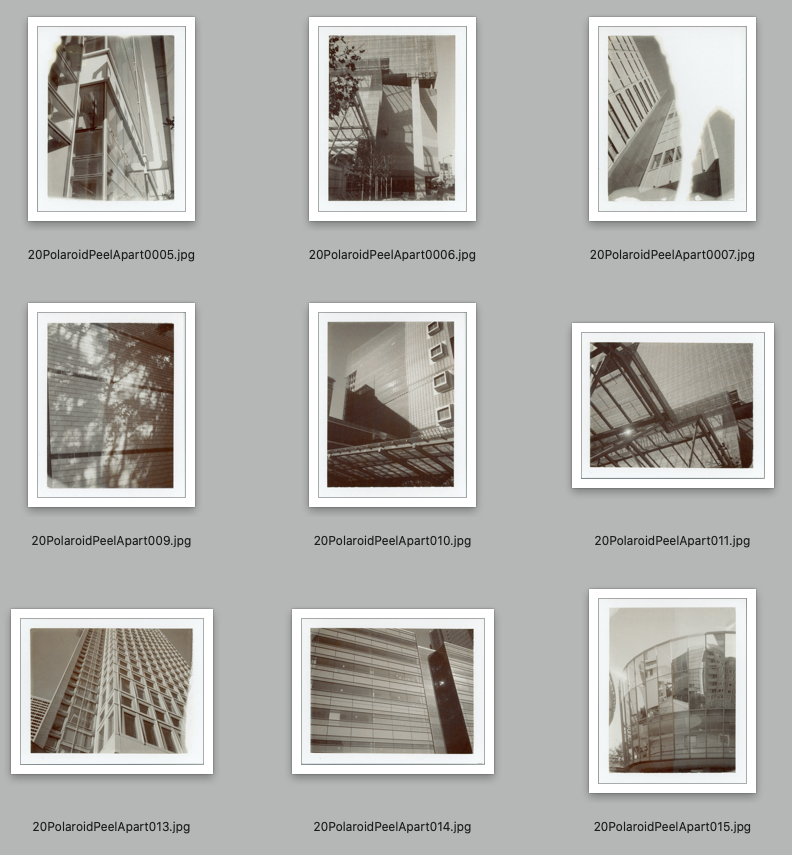 digital index of Polaroid sepia images