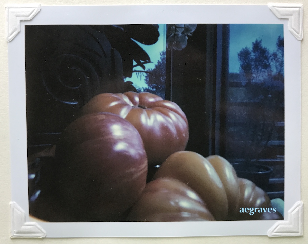 pinhole photo of ruffled tomatoes