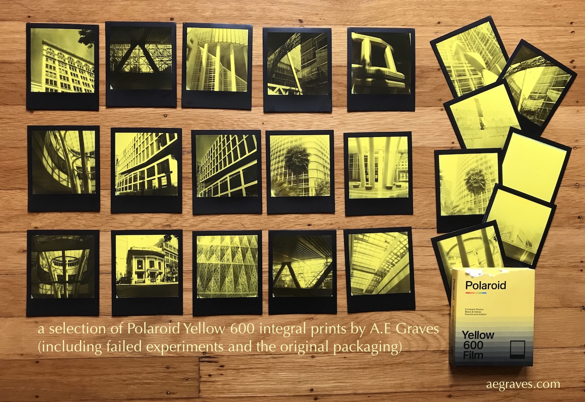 more than a dozen black and yellow integral prints and original Polaroid Yellow 600 packaging are displayed on a hardwood floor