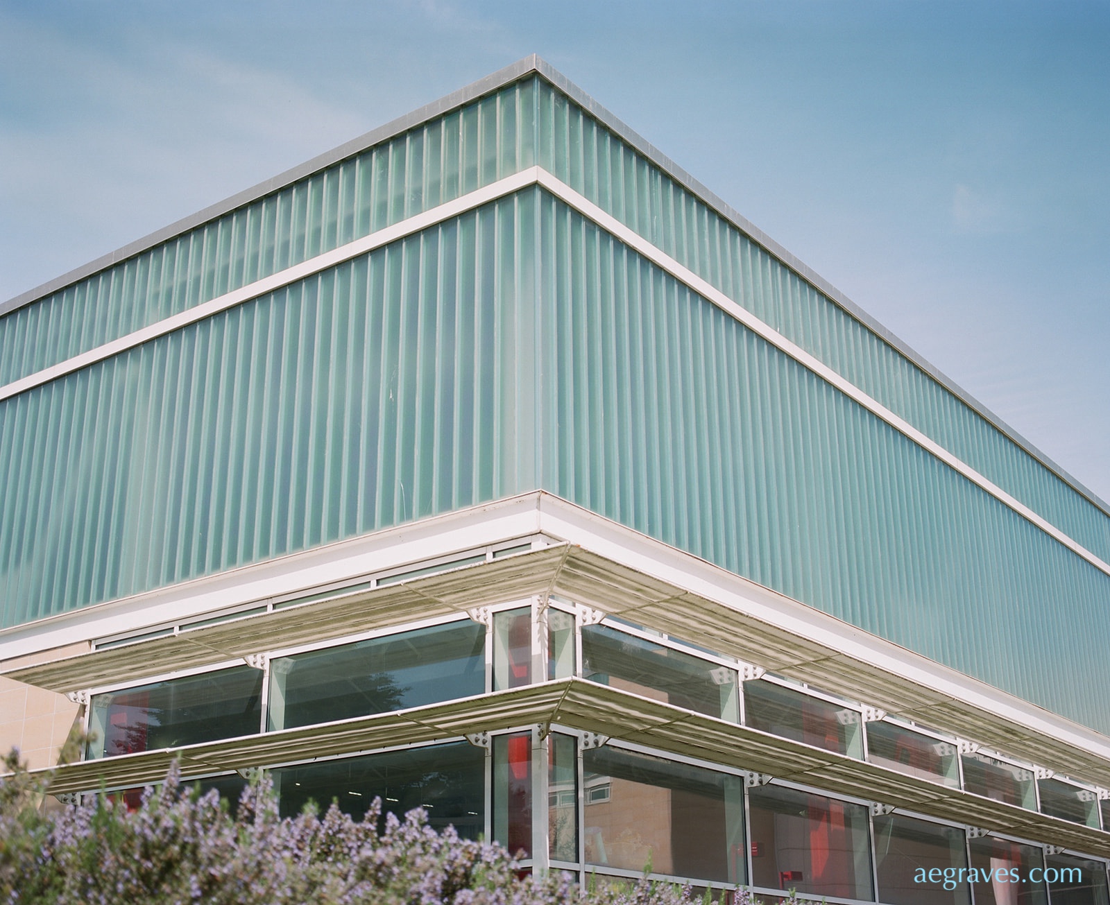 Detail of the SE corner of City College's pool