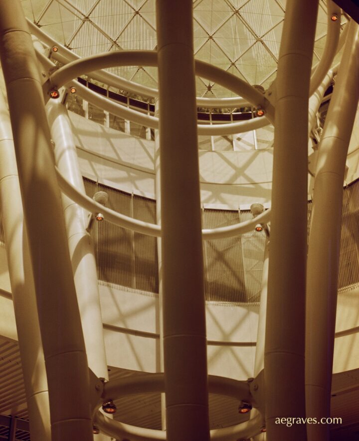 Reddish sepia interior of an atrium with six bending columns and criss-crossing shaddows
