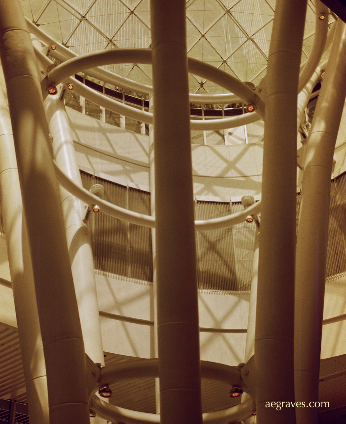 Reddish sepia interior of an atrium with six bending columns and criss-crossing shaddows