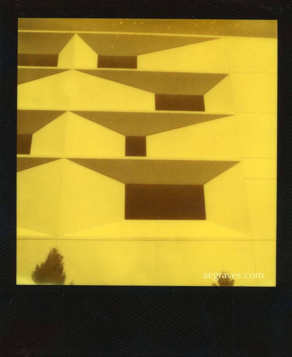 A geometric wall with assymmetrial openings in black and yellow, with the edges of two small shrubs in the foreground
