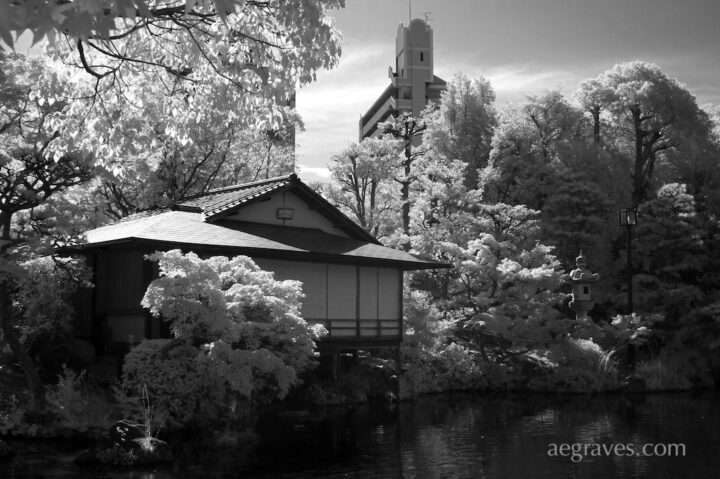 Monochrome infrared image of a teahouse and foliage on a pond