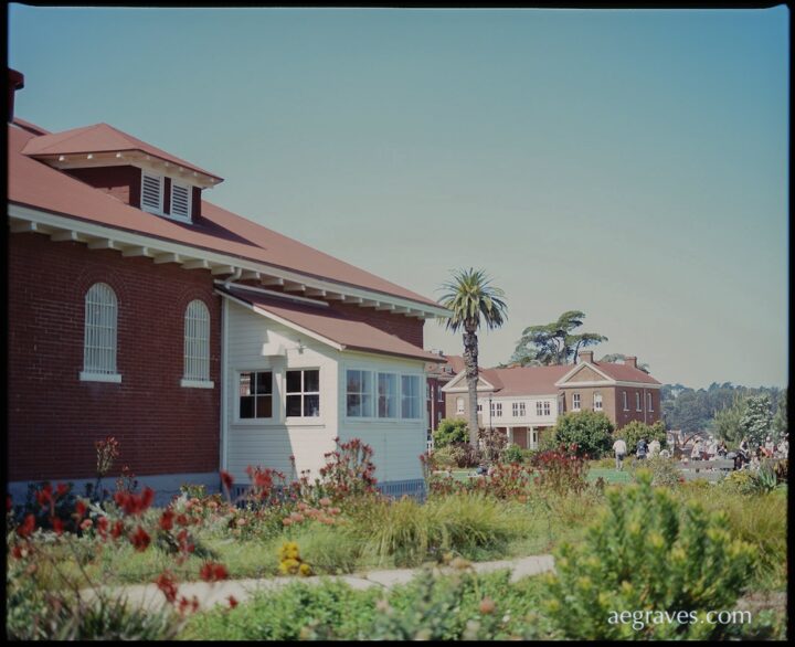 Red brick building with white shed addition in foreground; red brick building with elevated white extension in distance; landscaping including blooming protea in foreground