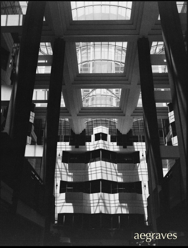 Monochrome image of an atrium with tall, dark columns