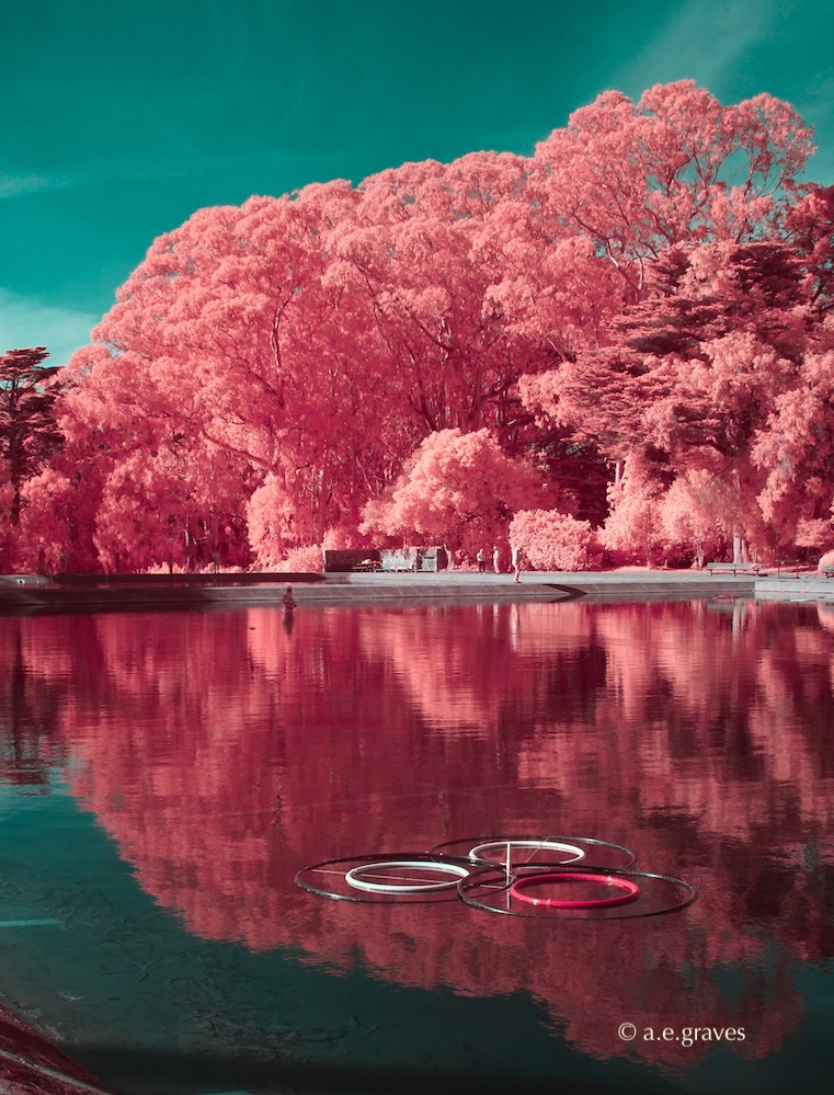 False color digital infrared image with vivid rose foliage reflecting in a pool where people are flycasting