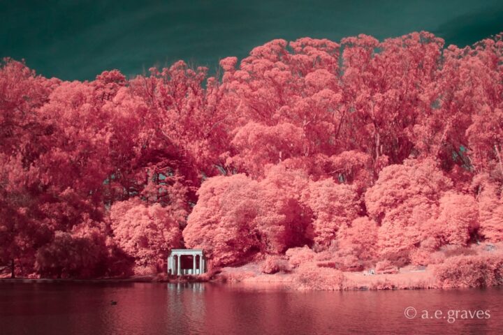 False color digital infrared image with vivid rose foliage and a small, white stone gate sitting on the edge of a dark lake