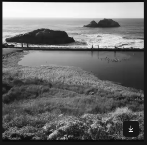 A view of a soft, grassy edge of a pond, with a concrete wall at the far side with people on it; beyond them are two large rocks and the horizon of the Pacific