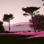 Toward Point Bonita
