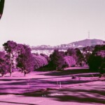 Toward Mt. Sutro