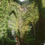 Leafy Church