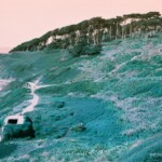 Landscape in turquoise green with a pale orange sky of shrubs and a line of dark cypress mimicking the shape of the hillside
