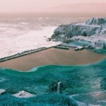 Turquoise foliage and pale orange sky on the site of the Sutro Bath ruins