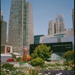 Color image looking across blooming flowers with a view of a colorful monster sculpture and various tall buildings