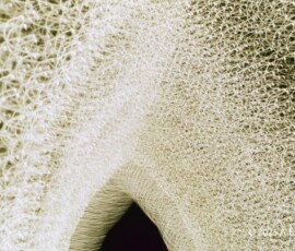 Long exposure abstract