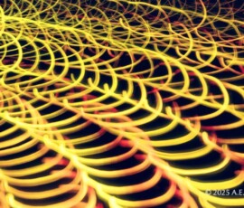 Long exposure abstract