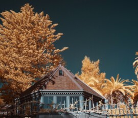 IR image of of a hexagonal building surrounded by gold trees